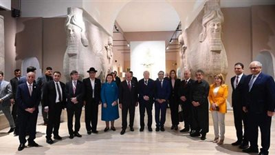 مصر تُثمن التوصيات الواردة بإعلان 