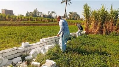 إزالة 4 حالات تعد على أراضي زراعية بقنا