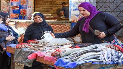 زيادة الطلب على الأسماك ترفع سعر البروتين المفضل في مصر