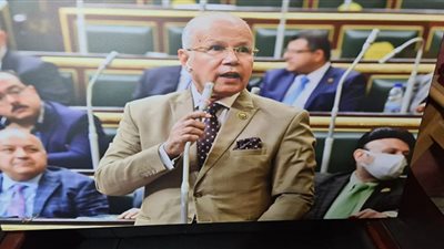 برلماني: شفافية وعلنية جلسات الحوار الوطني أكبر ضمانة لنجاحه