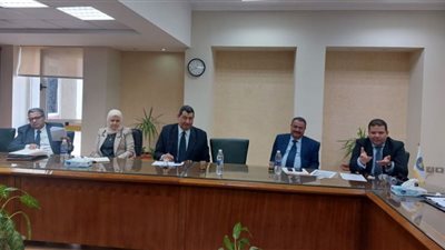 لجنة من الضرائب والأطباء لحسم مخاوف التسجيل بالفاتورة الإلكترونية