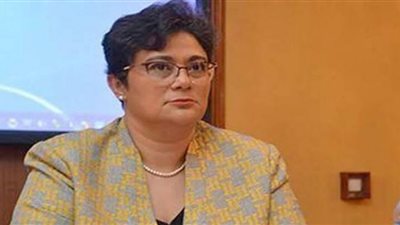 نجم تبحث مع مدير المركز العالمي للمناخ بنيويورك تعزيز التعاون بين الجانبين