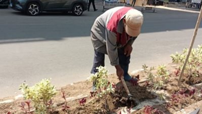 حي البساتين يشن حملات عدة لإظهار الطابع الجمالي والحضاري