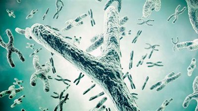 الرجال معرضون للانقراض.. الكروموسوم الذكري في خطر