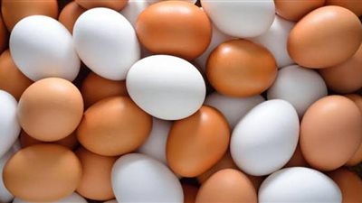 طرح أطباق البيض بالمجمعات الاستهلاكية بـ65 جنيها