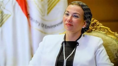 المصريون الدارسون بالخارج يتقدمون باقتراحاتهم وأفكارهم لمؤتمر المناخ COP27