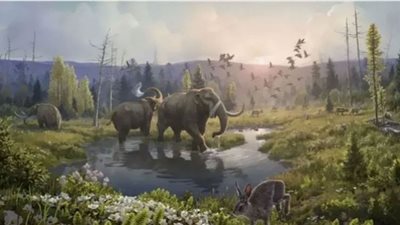 أقدم حمض نووي عمره مليونا سنة.. فيديو