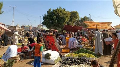 قنا: نقل سوق الأربعاء إلى مكانه الجديد بمدينة دشنا