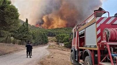 تونس: إخماد 15 حريقًا بالغابات في أسبوع