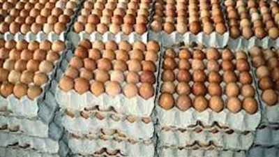 وزير التموين يوجه بخفض سعر البيض (فيديو)