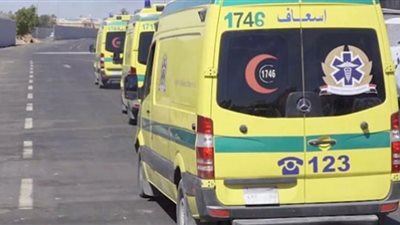 تشييع جثامين 3 أشقاء لقوا مصرعهم في حريق بالقناطر