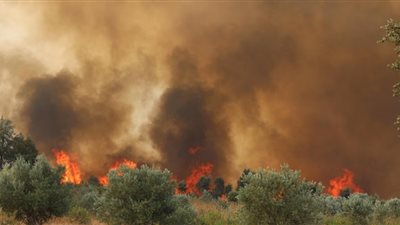 تدمير ألف هكتار وإجلاء 350 شخصًا مع اندلاع حريق بفرنسا