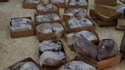 ضبط 3 أطنان كبدة مجمدة مجهولة المصدر بالشرقية