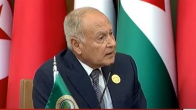 السياسات والمواقف العربية ليست وليدة العام الماضي (شاهد)