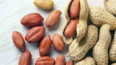أطعمة تعزز صحة ميكروبيوم الأمعاء