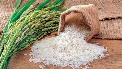 ضبط 24 قضية تلاعب في ربع مليون طن أرز شعير