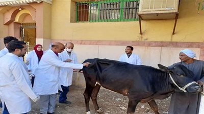 بيطري قنا ينظم قافلة بيطرية بقريتي أولاد عمرو والأشراف