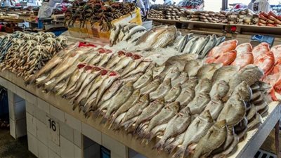 أسعار السمك في الأسواق .. والبوري بـ38 جنيها