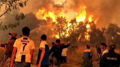 حرائق الغابات تجتاح جنوب فرنسا وتلتهم ألف هكتار من الأراضي| شاهد