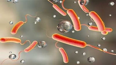 تحذيرات خطيرة من تفشي وباء الكوليرا في العالم