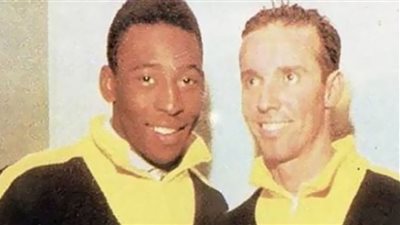 البرازيلي