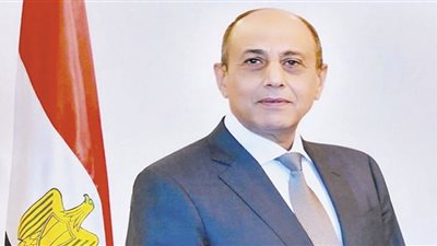 وزير الطيران: مصر ملتزمة بتعزيز أمن وسلامة الطيران العالمى بالتنسيق مع »الإيكاو«
