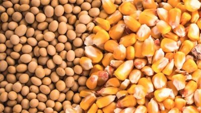 الزراعة تفرج عن 960 ألف طن مستلزمات إنتاج أعلاف