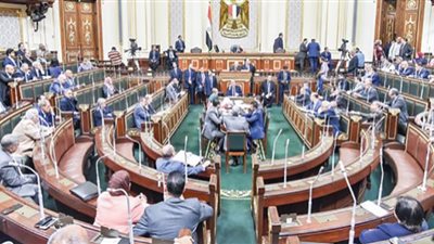 الحبس والغرامة عقوبة التنمر على ذوي الهمم