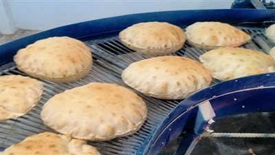 محافظ الدقهلية يحيل 28 مخالفة تموينية إلى النيابة العامة