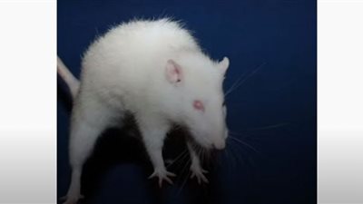 أخطر تجارب العالم والجنة التي انقلبت إلى جحيم الكون 25 (شاهد)