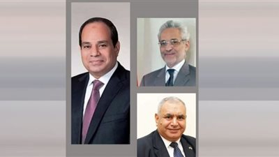 الرئيس السيسى يهنئ المصريين فى رومانيا بالعام الهجرى