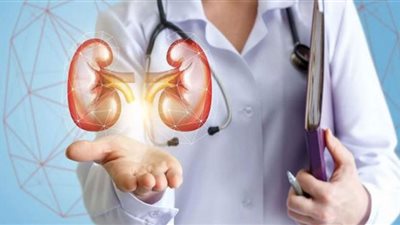 خبيرة تكشف أفضل المواد الغذائية لصحة الكلى