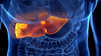 التهاب الكبد.. الفيروسات المتهم الأول للإصابة