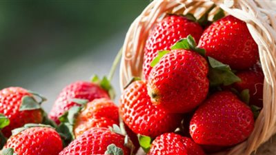 الفراولة تمنع ألزهايمر.. أطباء يوضحون