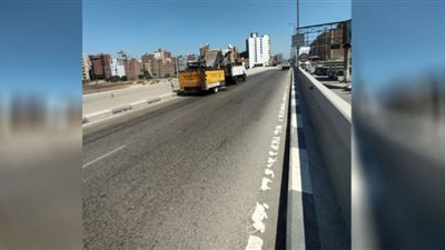 رفع 55 طن قمامة وأتربة من الشوارع والميادين بمدينة المنصورة