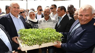 ٥٠ مليون جنيه لمشروعات التمكين الاقتصادي بالوادي الجديد