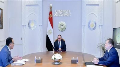 جذب الاستثمارات الأجنبية.. توجيه جديد من الرئيس لمحافظ 