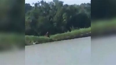 كائن غريب يرعب صيادًا.. نصفه كلب والآخر إنسان