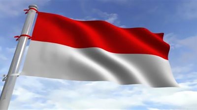 إندونيسيا ترفض الاعتراف بضم روسيا للمناطق الأوكرانية