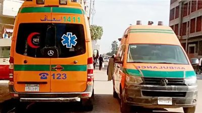 حبس بائع مناديل أنهي حياة زوجته بشبرا الخيمة