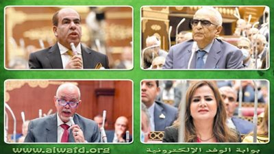 مجلس الشيوخ يوافق مبدئياً على «صندوق مصر الرقمية»