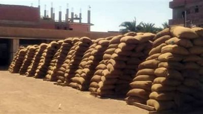 توريد 230 ألف طن قمح بصوامع وشون ببني سويف