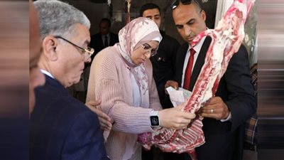 إغلاق محال للمواد الغذائية واللحوم بالمنيا