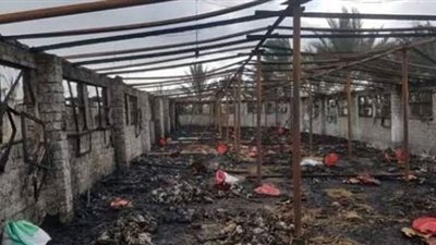 النيران تأكل مزرعة دواجن بالإسماعيلية