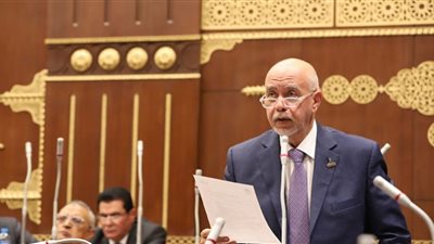 مجلس الشيوخ يوافق على إلغاء الرسم الإضافي بقانون صندوق مصر الرقمية