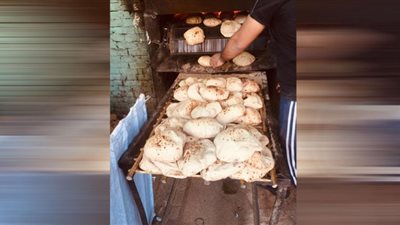 تحرير 77 محضرًا متنوعًا خلال حملة تموينية بالإسماعيلية