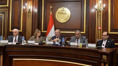 نيفين الكيلاني: بناء الإنسان المصري فكريًا ودعمه فنيًا يقع على عاتق وزارة الثقافة