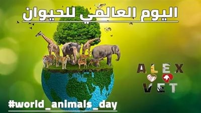اليوم العالمي للحيوان .. سبب الاحتفال به في 4 أكتوبر