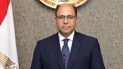 الخارجية المصرية تؤكد رفضها التدخل في الشئون الداخلية للدول