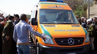 طبق «دش» ينهي حياة عامل في بورسعيد